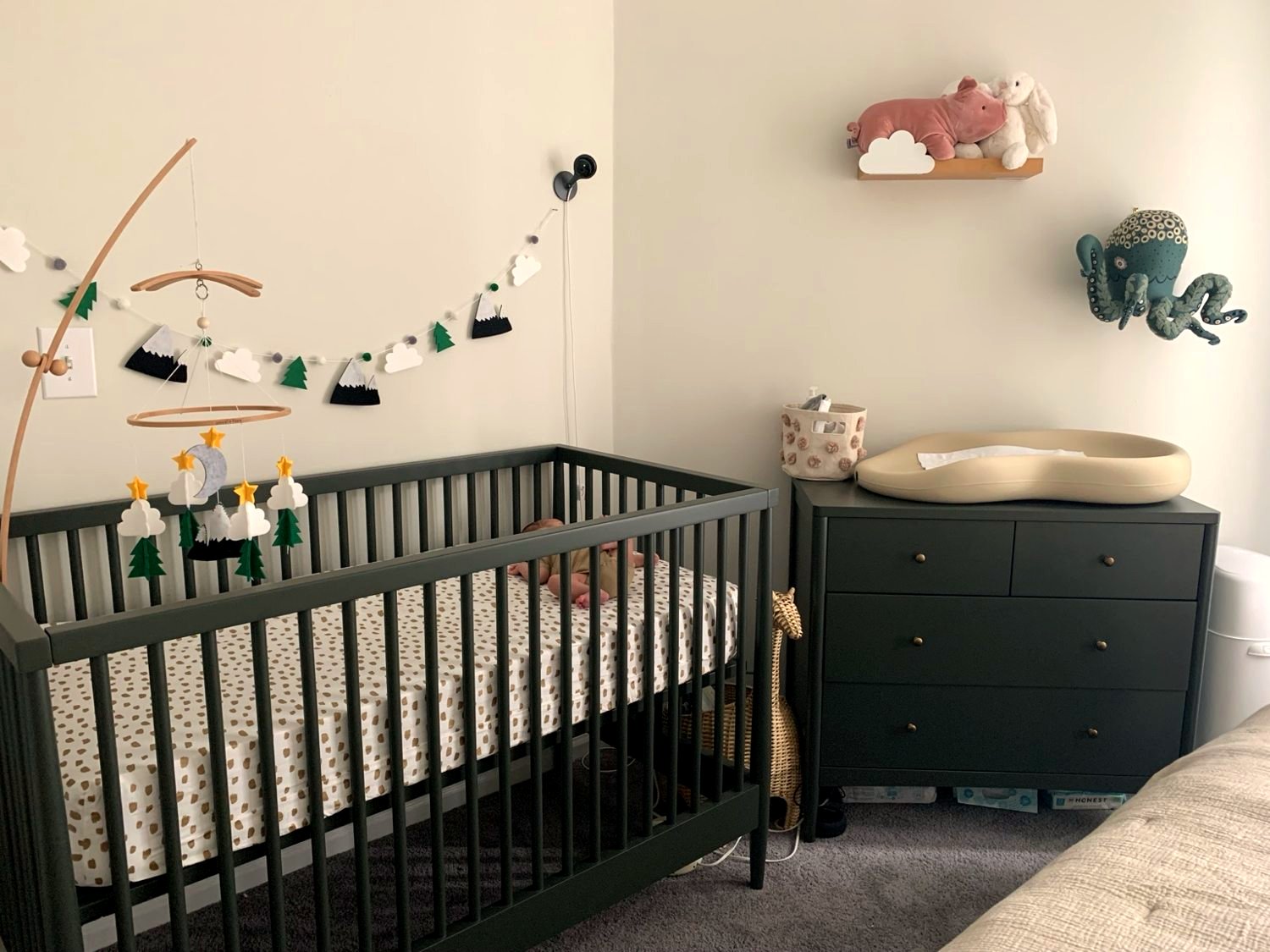 Woodland Nursery